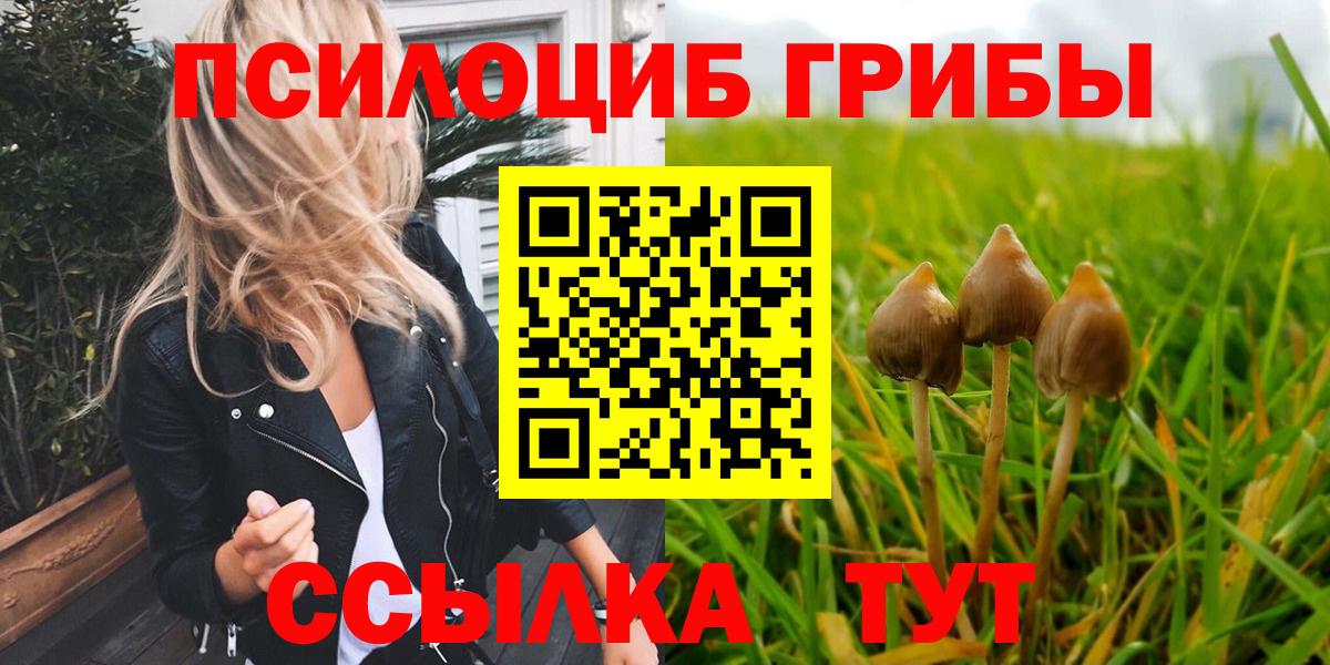 цена   Галлюциногенные грибы прущие грибы  Вход с VPN  Урюпинск 