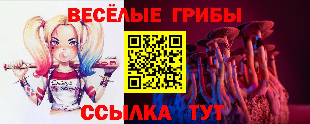 Галлюциногенные грибы Psilocybine cubensis Урюпинск